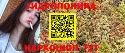 a pvp Изобильный